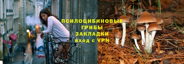 ПСИЛОЦИБИНОВЫЕ ГРИБЫ Алексеевка