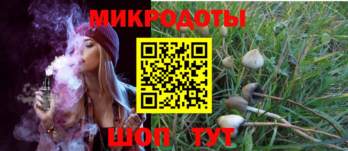 Псилоцибиновые грибы Cubensis  Псилоцибиновые грибы Psilocybe  Вход с VPN  Елабуга 